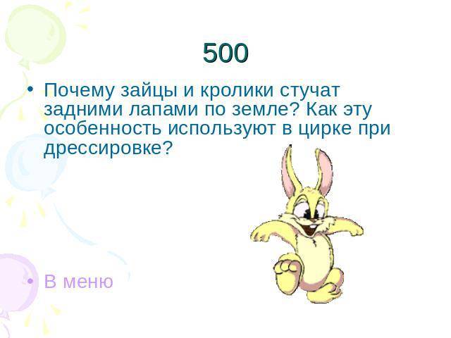 ᐉ почему кролики стучат задними лапами? - zoomanji.ru