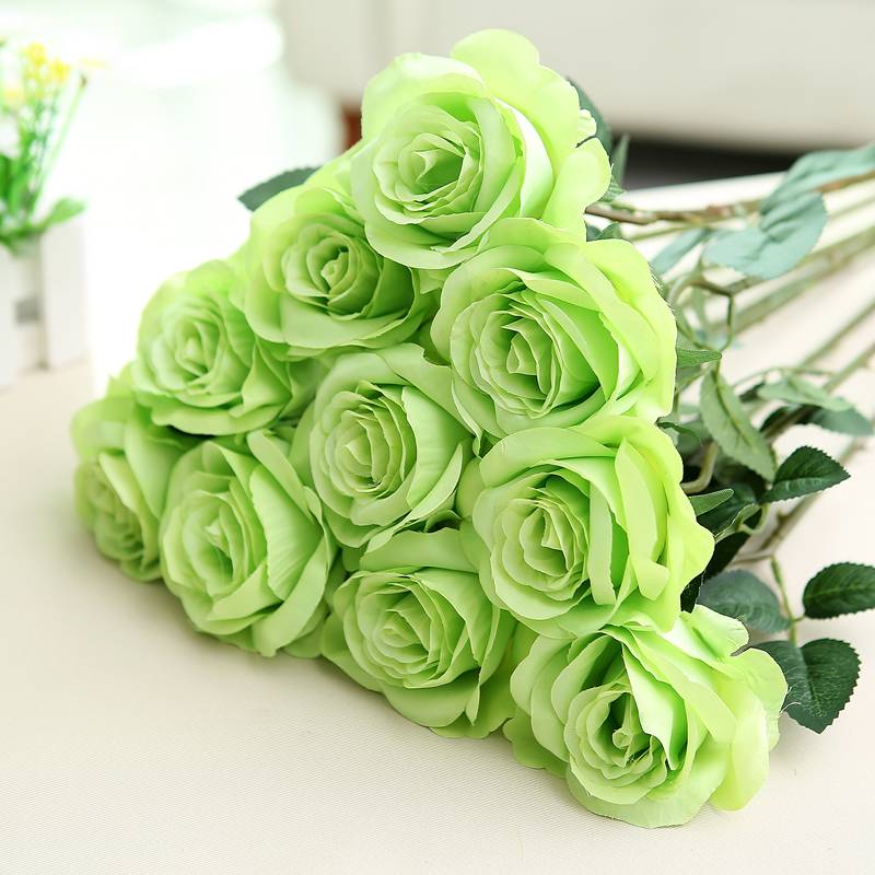 Зеленые розы: история, значение цвета, применение в ландшафте, отзывы + 15 лучших сортов с названиями, описаниями и фото