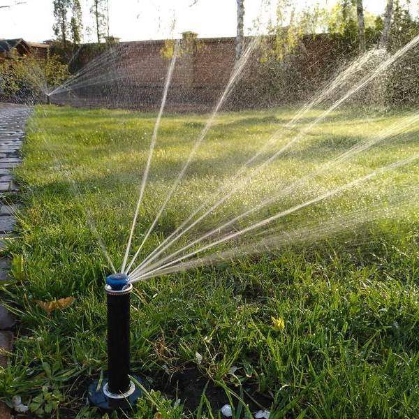 Как правильно поливать газон: схемы и нормы, расход воды, оборудование