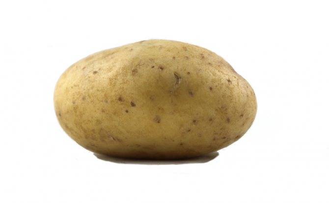 Картофель ласунок характеристика агротехника выращивания