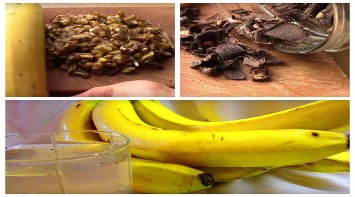 Удобрение из банановой кожуры для комнатных растений и рассады: рецепты приготовления
