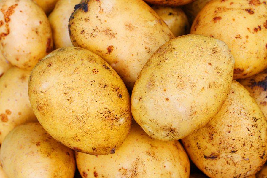Описание сорта картофеля адретта – характеристика, достоинства и недостатки, отзывы