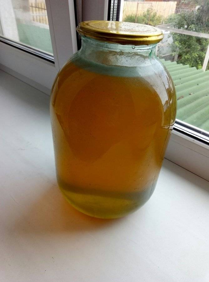 Как отличить поддельный липовый мед от оригинала