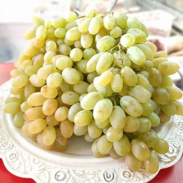 Сорт винограда «дамские пальчики» (хусайне белый)