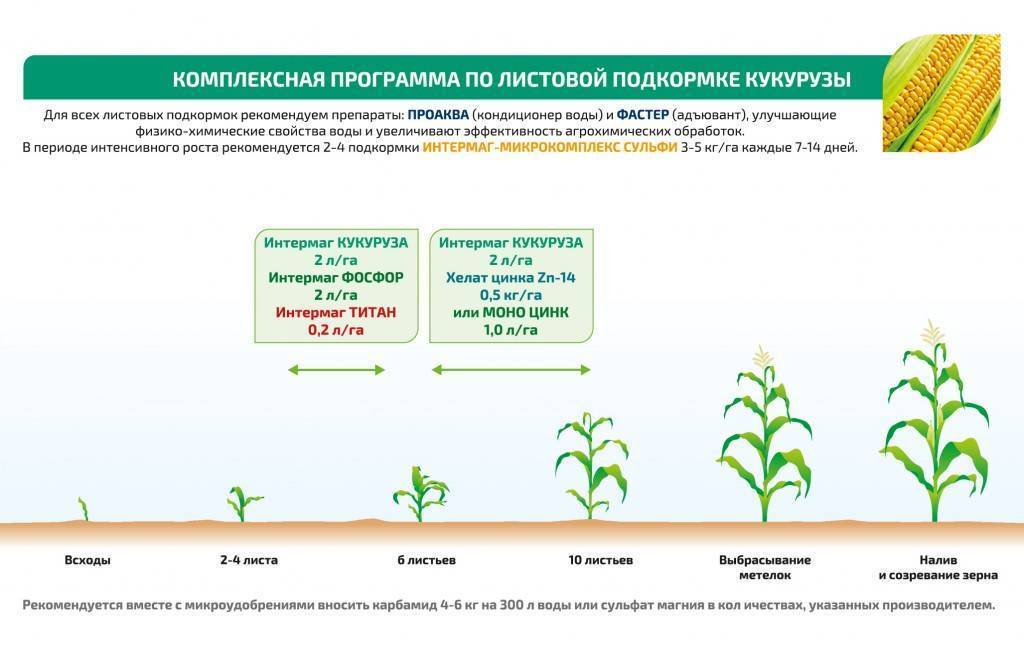 Как правильно использовать мочевину в саду и в огороде в течение всего сезона на supersadovnik.ru