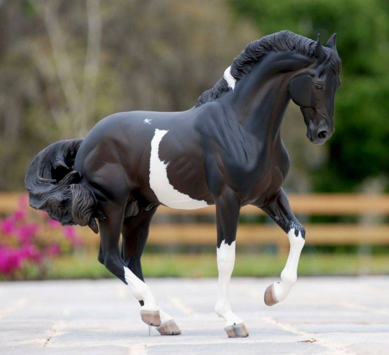 Самые красивые лошади в мире: фото и породы