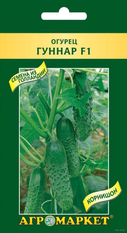 Описание огурца гуннар f1: характеристика, урожайность, отзывы
