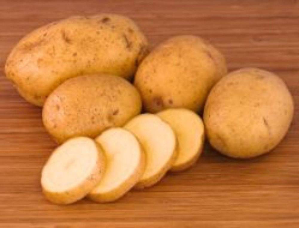 Сорт картофеля никулинский: описание сорта, фото, характеристика русский фермер