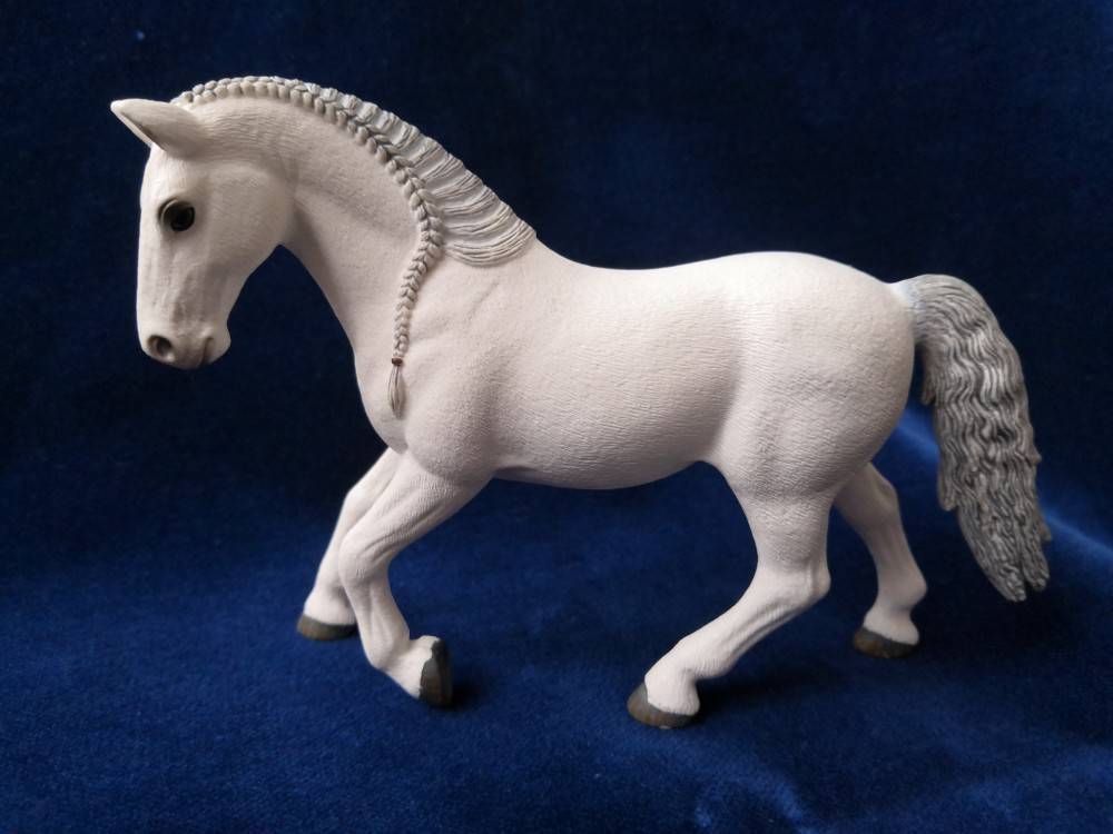 Миниатюрные лошади фалабелла: описание с фото, история, уход и разведение