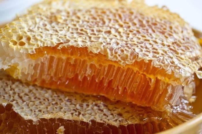 Пчелиный воск: едят или нет, как правильно есть соты с медом – minproduct.ru
