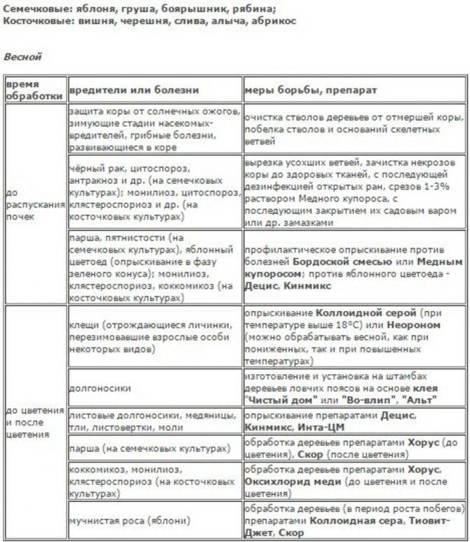 Обработка яблонь весной от болезней и вредителей