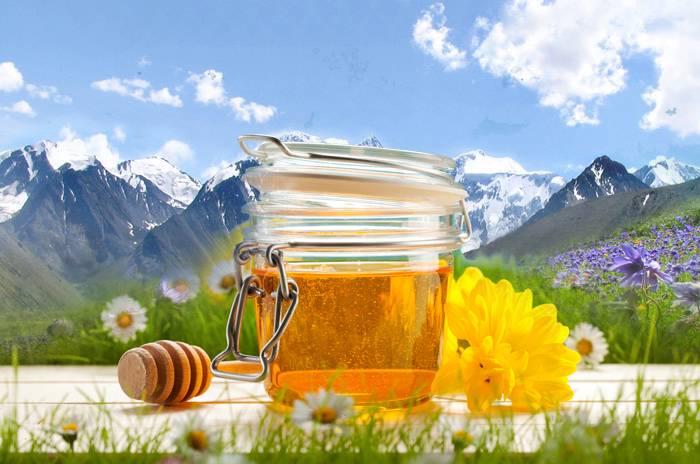 Полезные свойства и противопоказания горного мёда