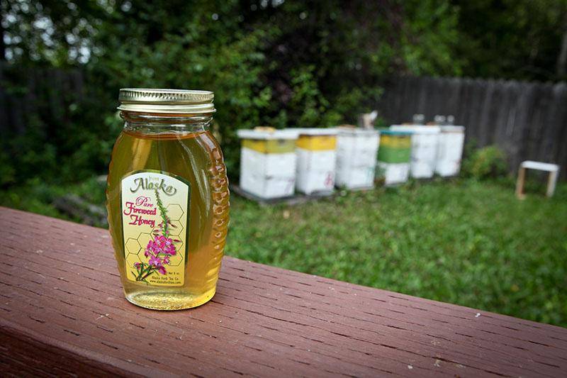 Белый кипрейный мед: полезные свойства, противопоказания, как отличить подделку