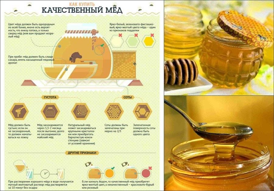 Как хранить мед: 10 правил для сохранения полезных качеств