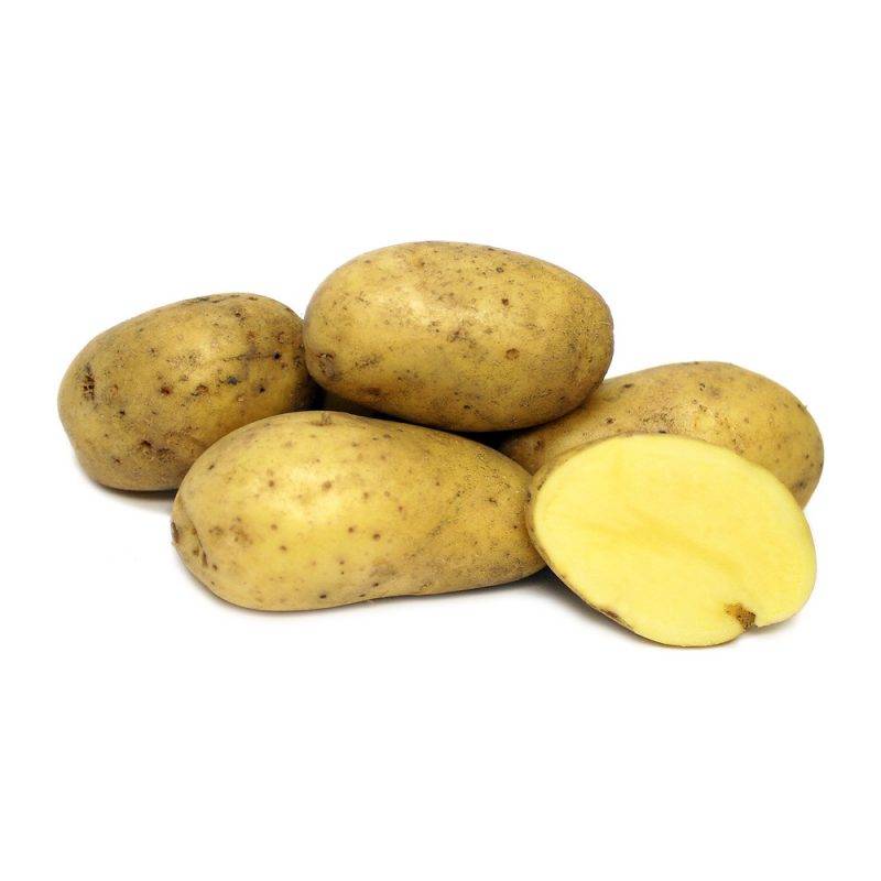 Картофель ривьера: описание сорта, отзывы