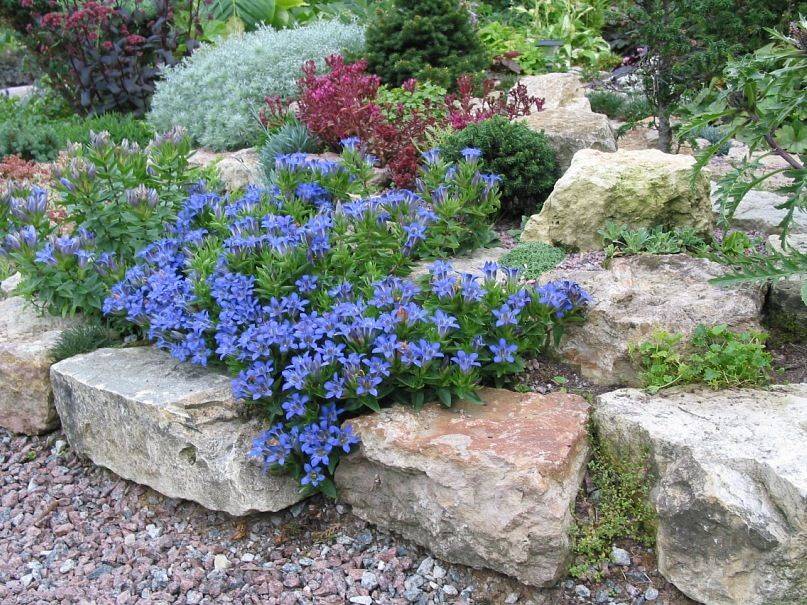 Как правильно сделать альпийскую горку на даче и в саду для цветов из камней, шин и подручных материалов с ручьем и кувшином: подбор красивых вариантов оформления
 - 45 фото