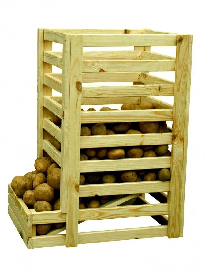 Оптимальная температура хранения картофеля — как сберечь зимой собранный летом урожай?