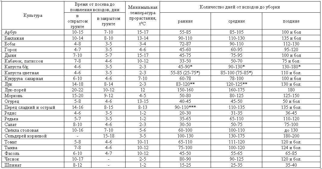 Через сколько дней всходят семена огурцов
