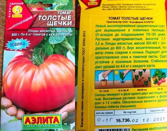 Сорт томата «толстые щечки»: фото, отзывы, описание, характеристика и урожайность.