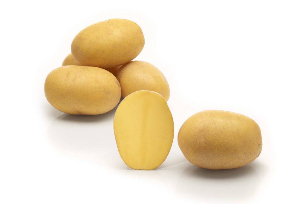Картофель Лилли: описание семенного сорта картофеля, характеристики, агротехника