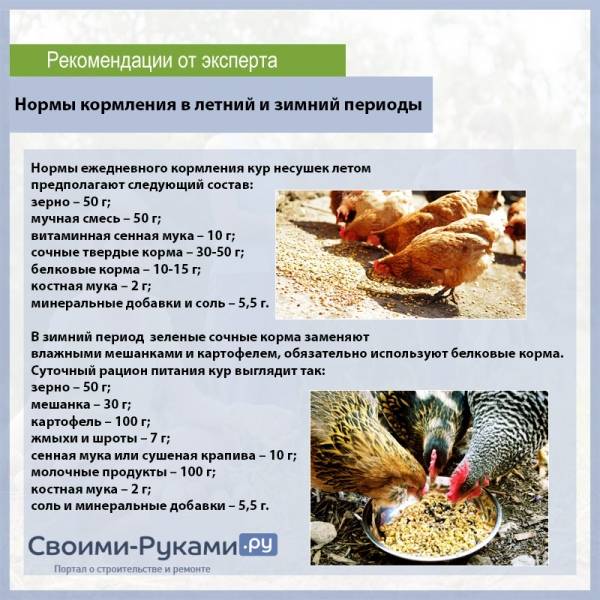 Лекарственные препараты от блох, клещей и вшей для кур и с/х птицы | апиценна