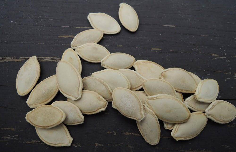О семенах кабачков разного сорта: в чем разница, как проверить семена на всхожесть