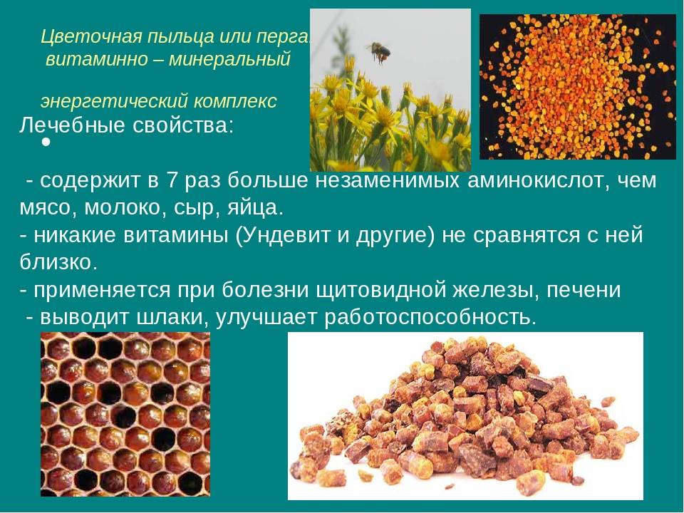 Что лечит цветочная пчелиная пыльца? рецепты применения в народной медицине и косметологии, полезные свойства и противопоказания, химический состав и витамины пчелиной цветочной пыльцы