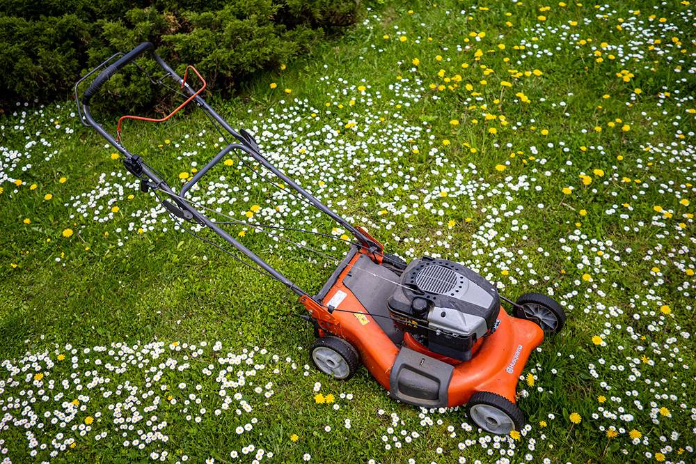 Триммеры штиль ( stihl ) электрические и бензиновые - рейтинг 2020 года