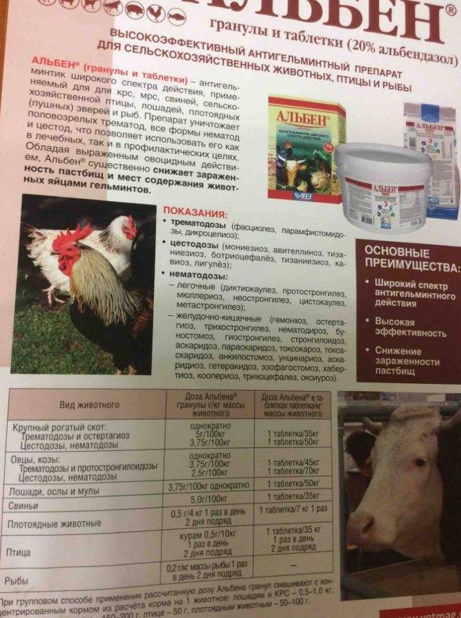 Ветеринарное лекарство альбен: инструкция по применению - вет-препараты