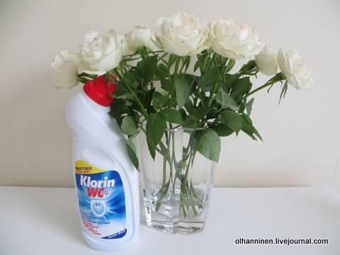 Что делать чтобы розы дольше стояли в вазе?