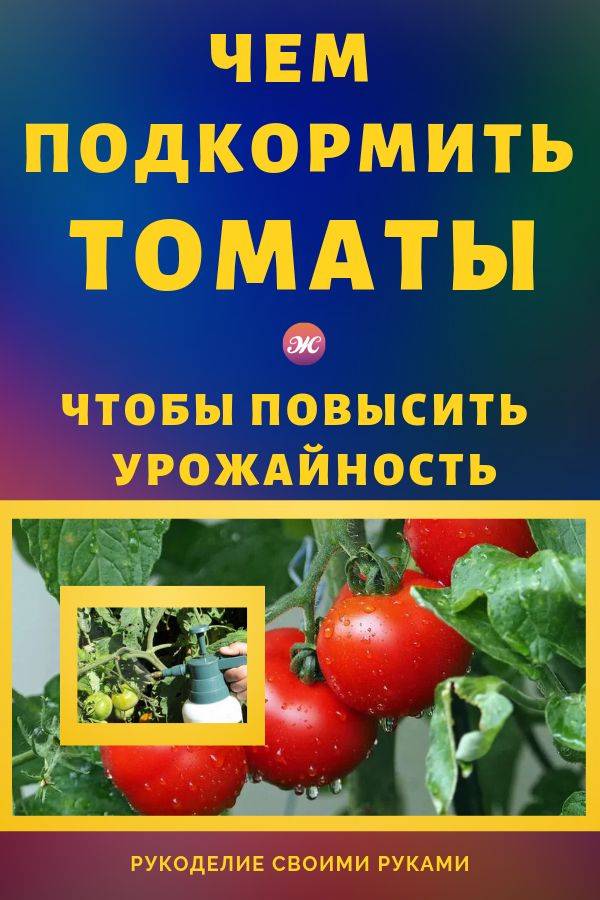 Подкормка томатов: как, когда и чем подкормить томаты
