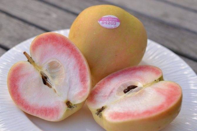 Сорт яблок розовый жемчуг: описание яблони с плодами с розоватой мякотью