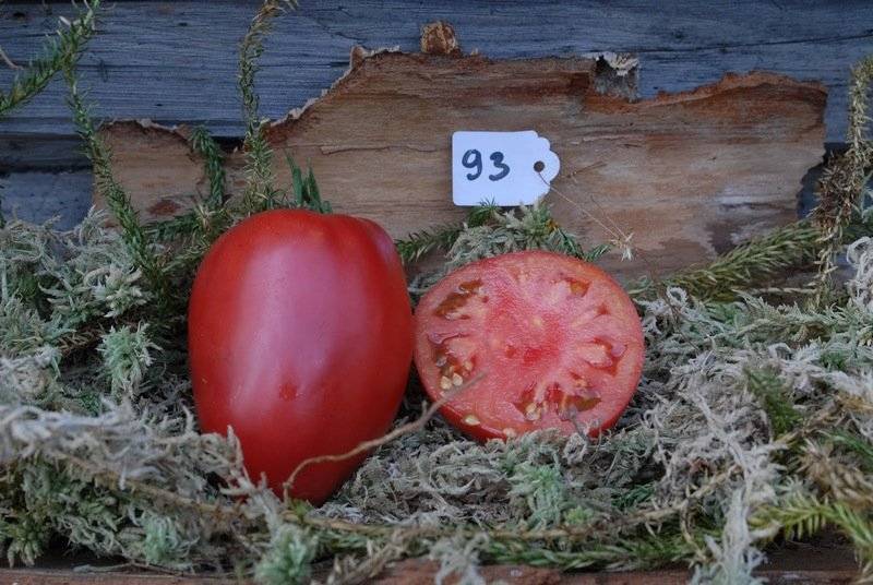 «абаканский розовый» — томат для осеннего салата