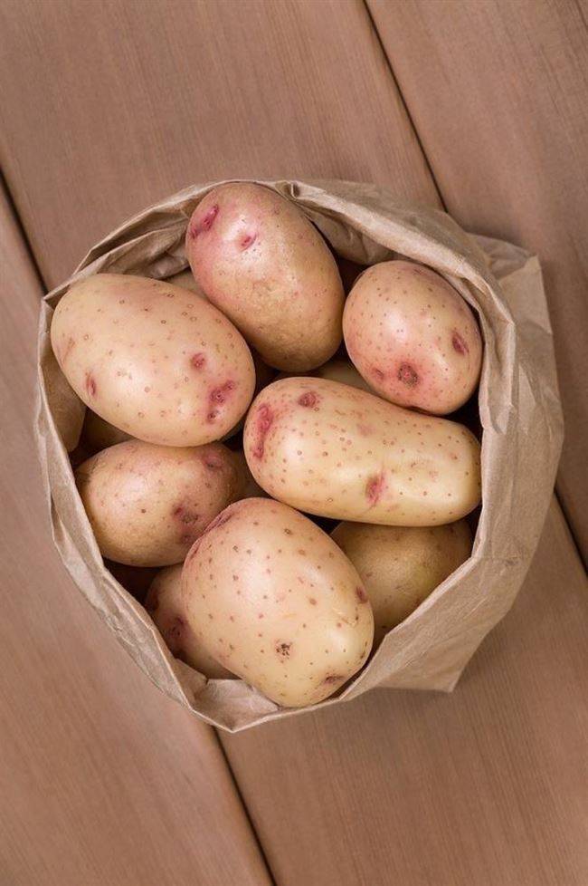 Топ-5 лучших сортов картофеля по мнению профессионалов