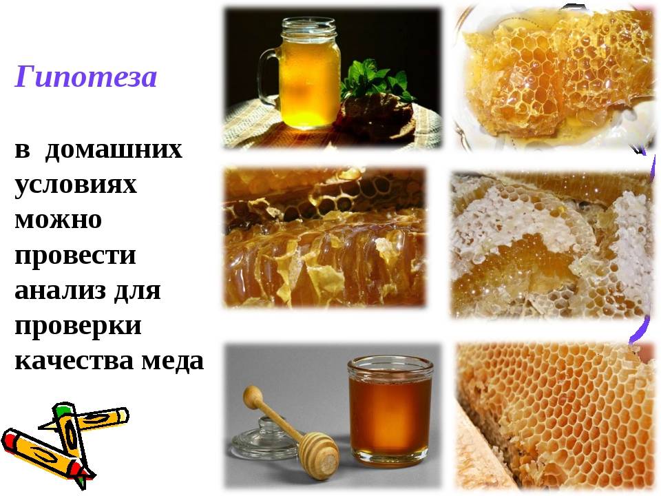 10 способов проверить натуральный мед или нет