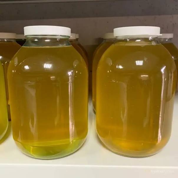 Липовый мед: полезные свойства и противопоказания, как выглядит, какого цвета, как определить