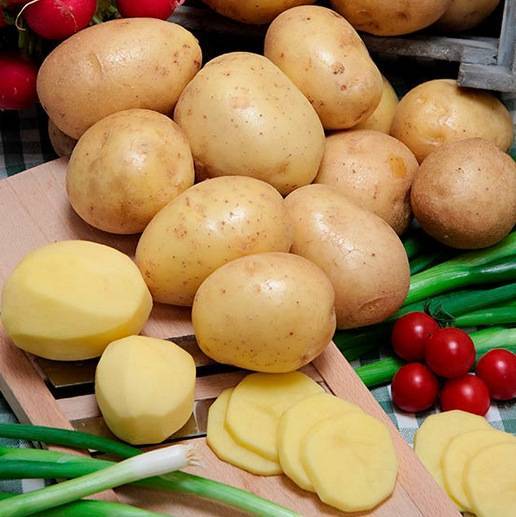Картофель эволюшн: описание сорта, фото и отзывы дачников о семенах, характеристика, вкусовые качества, сроки созревания и хранения