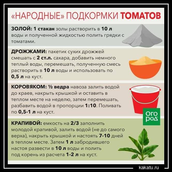 Как правильно поливать помидоры марганцовкой: приготовление раствора, режим полива
