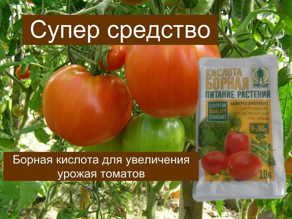 Как без вребя применять борную кислоту для помидор - удобряшкин.ру