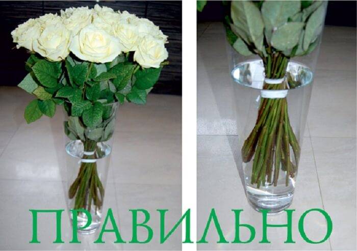 Как сохранить розы в вазе дольше всего - способы, чтобы розы дольше стояли в вазе с водой - видео инструкции