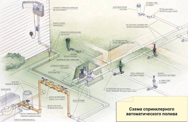 Автоматический полив газона: оборудование, особенности монтажа и работы системы :: syl.ru