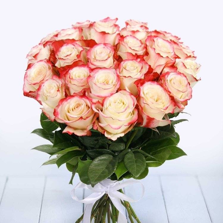 Роза sweetness: «сладкое» украшение вашего сада