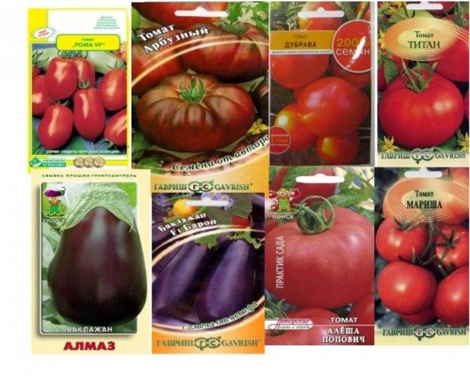 Томат титан красный: характеристика и описание сорта с фото, урожайность помидора, отзывы