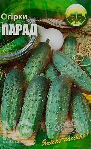 Характеристика и описание сорта огурца хабар, выращивание в открытом грунте