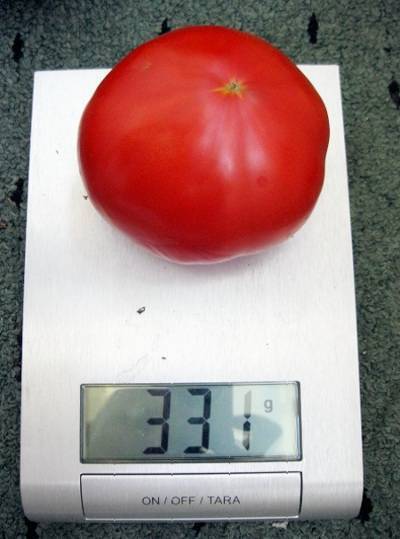 Новые лучшие сорта томатов, характеристики, вкусовые качества