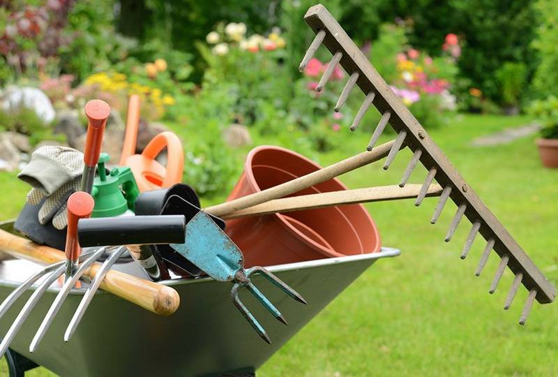 Садовый инструмент: список необходимого инвентаря для сада и огорода + обзор распространённых видов техники с фото и описанием