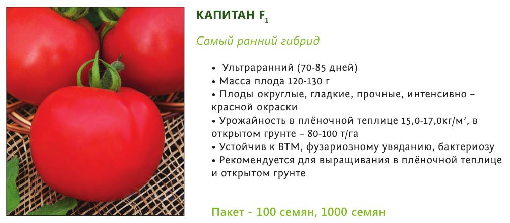 Семена томат f1 капитан: описание сорта, фото. купить с доставкой или почтой россии.