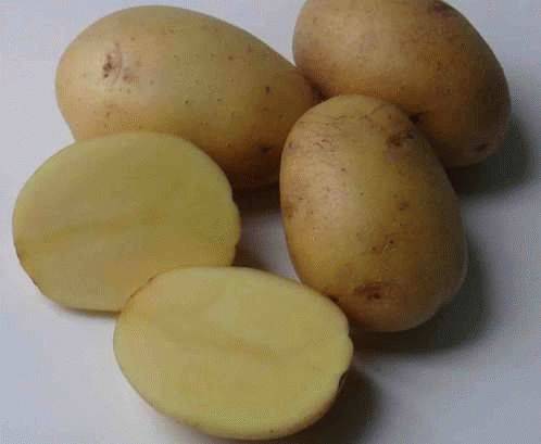 Наташа: описание семенного сорта картофеля, характеристики, агротехника