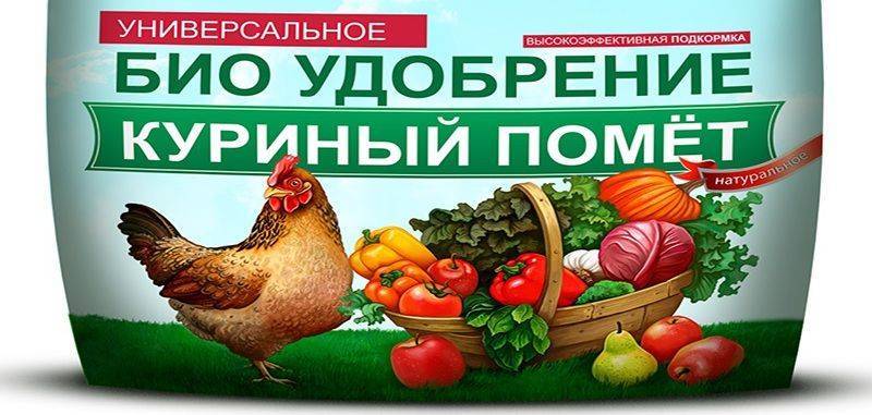 Подкормка томатов куриным пометом: доступно, эффективно, универсально
