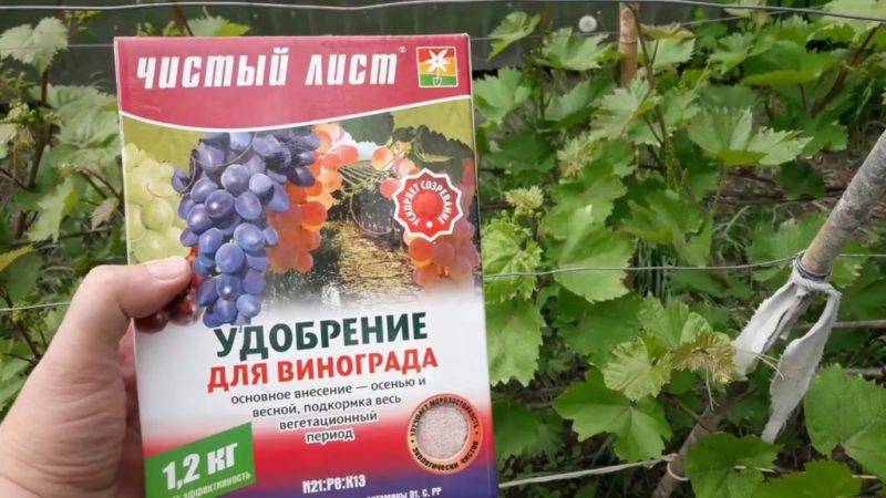 Подкормка винограда: когда и чем подкармливать, лучшие средства, календарь